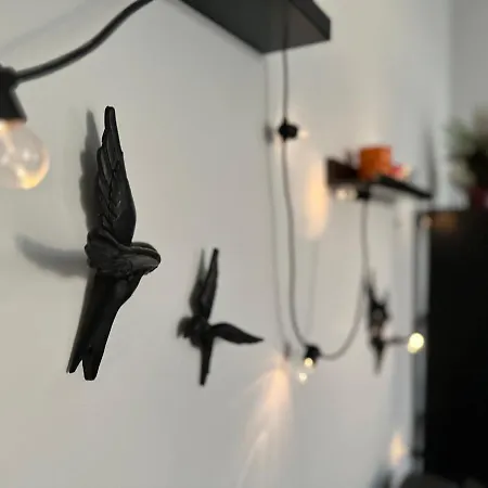 Bird Nest 2 Room Apartment-2